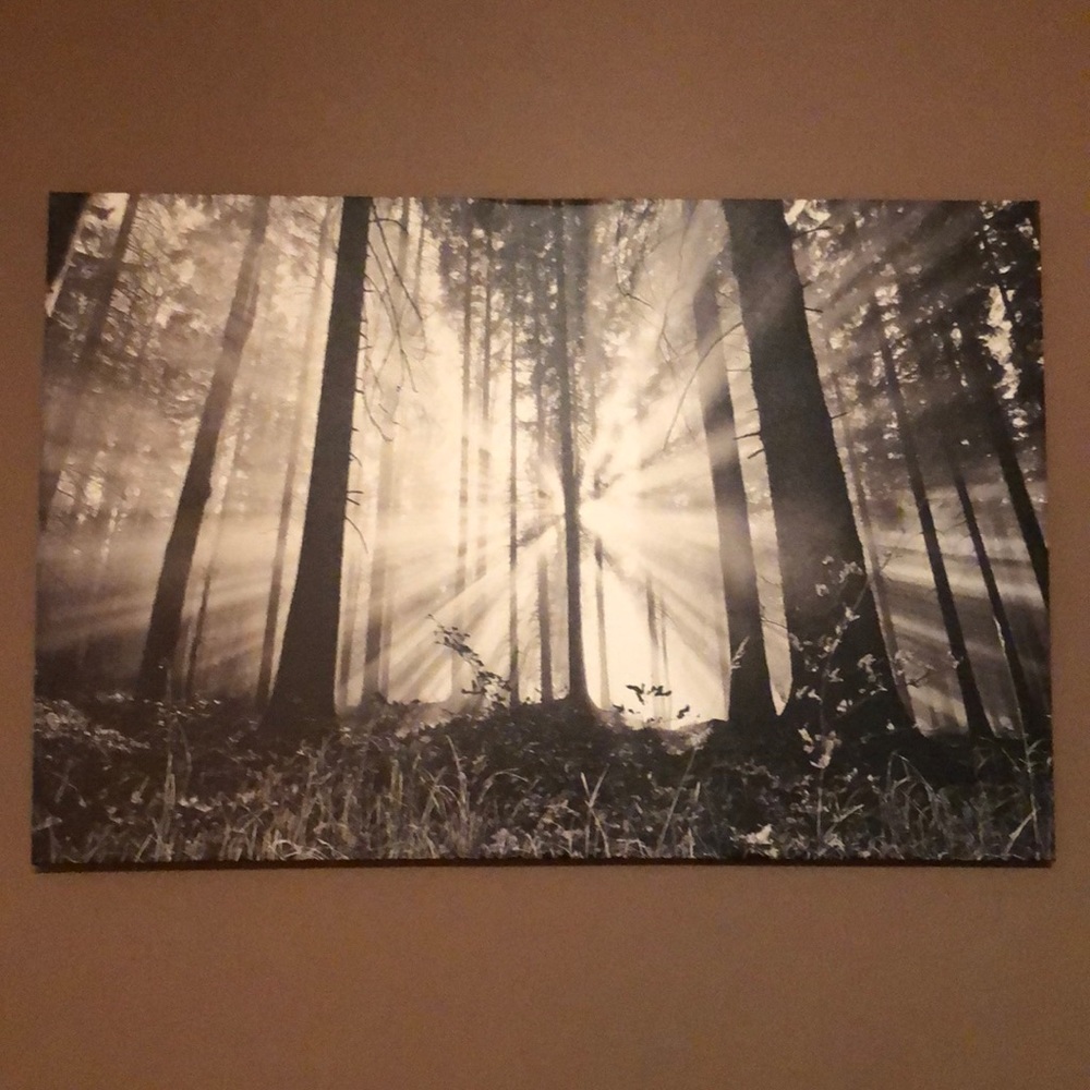 Wall decor/canvas
